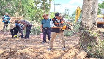 ตัดต้นไม้ปรุงภูมิทัศน์ให้มองเห็นขอบคุณทีมงานเทศบาลกลางใหญ่ทุกคนที่ได้ร่วมแรงร่วมใจกัน